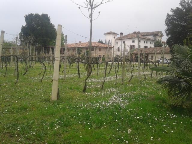 Alloggio Agrituristico Conte Ottelio Pradamano Экстерьер фото